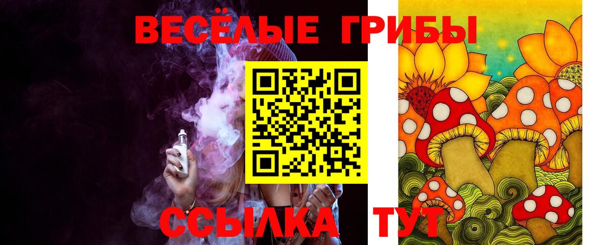 Псилоцибиновые грибы мицелий  Псилоцибиновые грибы мицелий  Глазов  Вход с VPN 